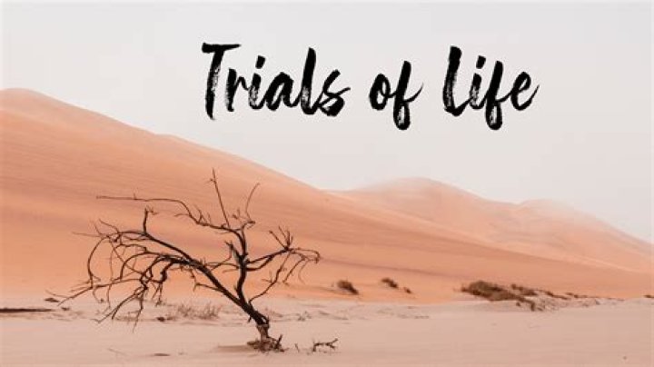 A Journey Of Triumphs And Tribulations On Netflix