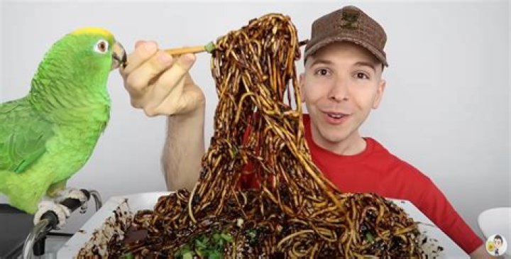 Did Nikocado Avocado Eat His Parrot? Everything On Mukbang Youtube Vlogger – correo ·