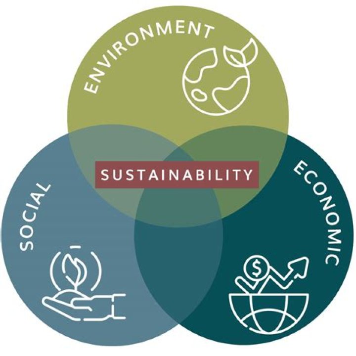 Discover The Art Of Sustainability And Social Justice With Ivon Gaete