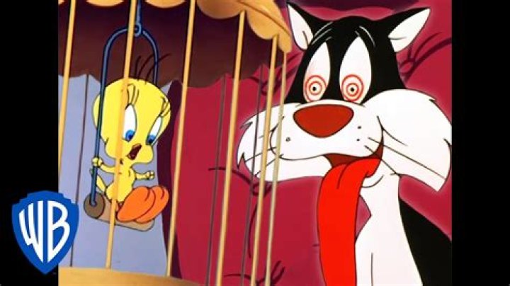 Discoveries And Insights In The World Of Sylvester & Tweety