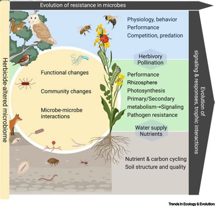 Mckinley Richardson: The Rise and Impact of Leak Culture