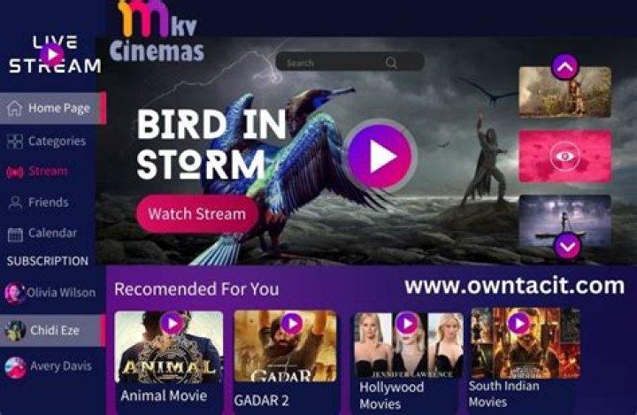 MKV Cinemas: Best Movies and Shows Streaming Now