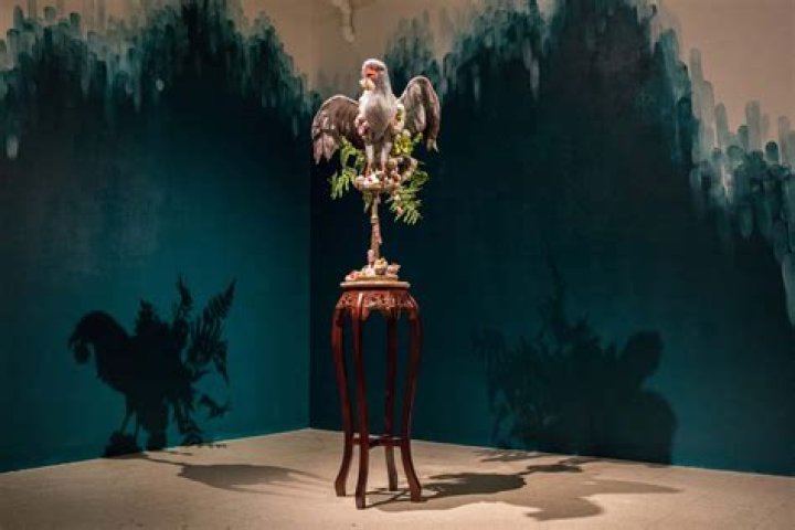 Uncovering The Multifaceted World Of Andrew Schimmer: Insights And Discoveries